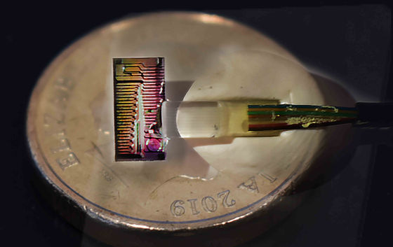 Kích thước của chip quang trogng thử nghiệm chỉ là 5 mm x 9 mm.