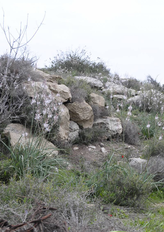 Israel giới thiệu vật liệu ngụy trang mới: giúp người lính hóa đá và trở nên vô hình - Hình 4